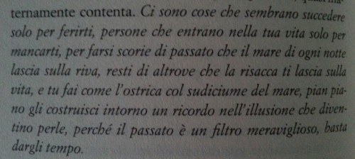 Il principio della carezza
S. C. Perroni