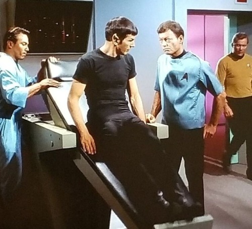 spiral0city: firstofficernims: Spock in a t-shirt is my life Back in the day, like 1966 or so, men d
