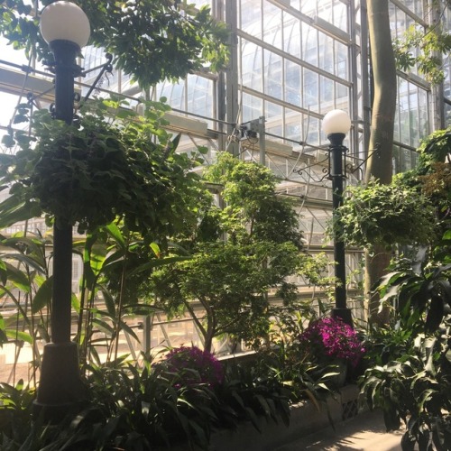 teablend:the prettiest garden i’ve ever been in, do you think they’d mind if i moved in?