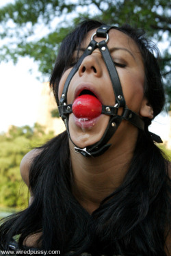 only-ball-gags:  Only Ball Gags All Gagged Bondage Gorgeous Blindfolds &amp; Collars 