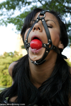 only-ball-gags:  Just Ball Gag Photos