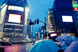 ourbedtimedreams:  Hachiko square crossing by Morten Legarth on Flickr.