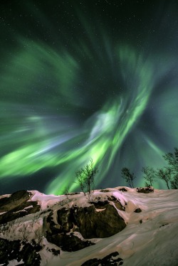 wolfnmoon:  Aurora in Norway