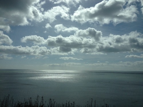 A journey ar an DART. Killiney - Greystones (May 2016) | Suzanne Lynch
