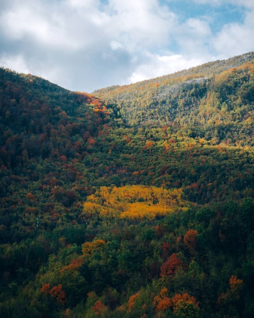 Lauria - Yellow Heart #lauria #basilicata #lucania #trees #woods #mountains #basilicataturistica #la