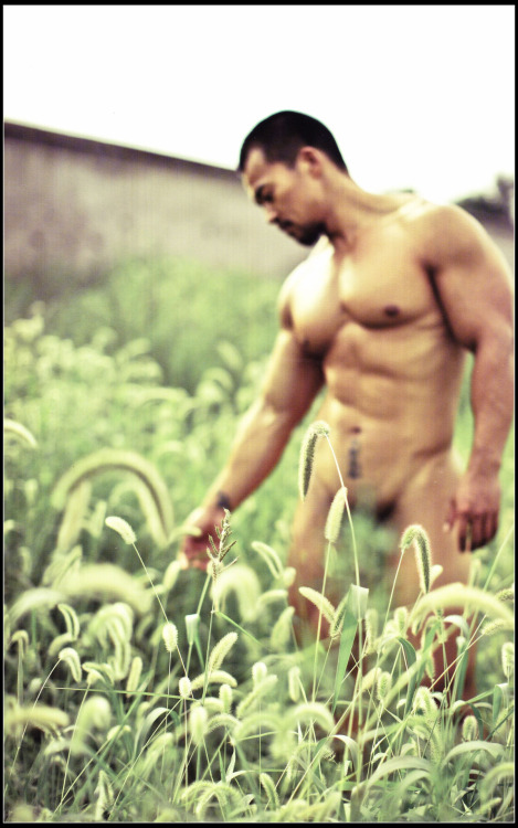 akamuhealani:  THERE IS SOMETHING FOR EVERYONE HERE! My blog features pics of naturally tanned or suntanned men from different nationalities showing face, dick or ass at the same time. Small cocks, medium cocks, giant cocks, all are of reverence here.