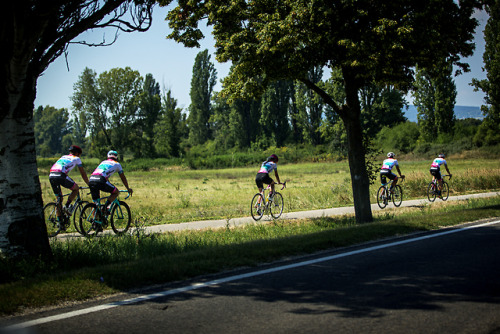 blog-pedalnorth-com: www.pedalnorth.com/content/touring-lake-balaton-part-2   Great article on websi