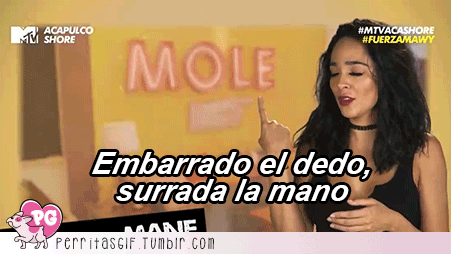 perritasgif:  Cuando no sabes si la cagaste pero es bastante obvio
