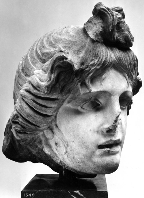 records-of-fortune:  Roman copy of a lost Greek original of the 3rd or 2nd century BC. Marble head f