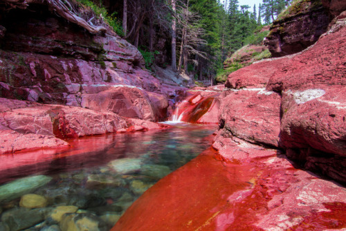 Red Rock Canyon by Leah Kling