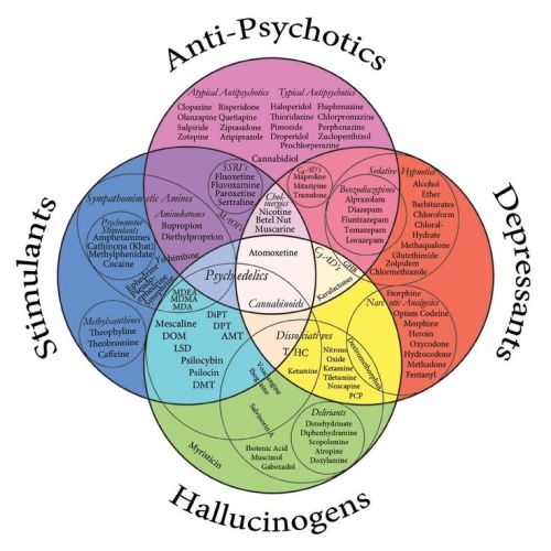 thepsychmind:  Fun Psychology facts here!