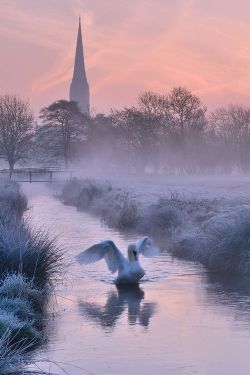 bellasecretgarden:  (via Salisbury Water