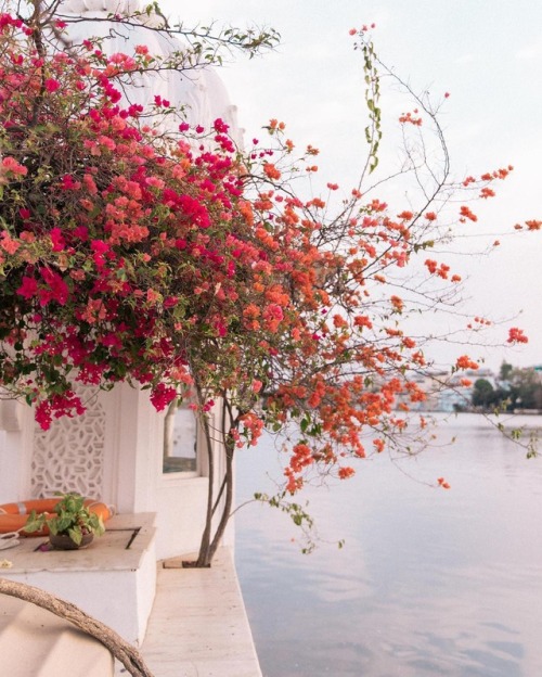 vivalcli:Taj Lake Palace, Udaipur, India | Chelsaeanne