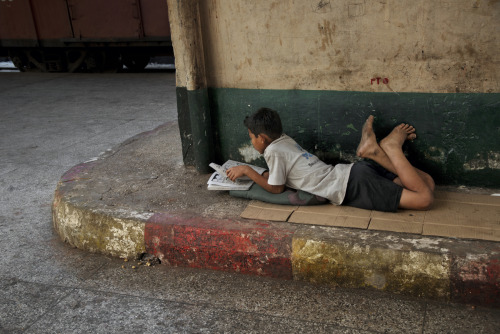 stevemccurrystudios: “We read to know we’re not alone.” - William Nicholson, 