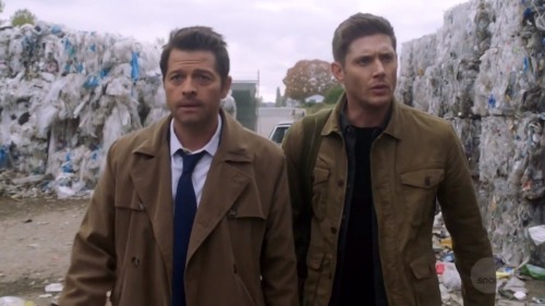 Society If These Two Could Walk Like Normal People ...
