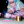 xxflutterinax:✨🌷🎀🍄🌙murder me nya🌙🍄🎀🌷✨