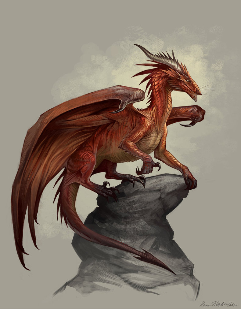 dailydragons:  Arrogath by Kate Pfeilschiefter (website | DeviantArt)