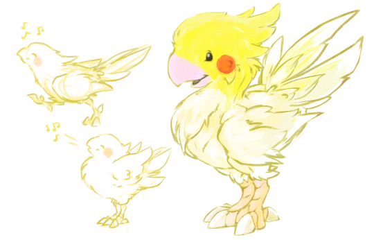 relay314:  bbbraket:  this bird is singing the chocobo music, which makes it a chocobo irl (source: https://twitter.com/kanmiQ/status/616780311263735809)   chocotiel is my favorite bird ever! (人 •͈ᴗ•͈)