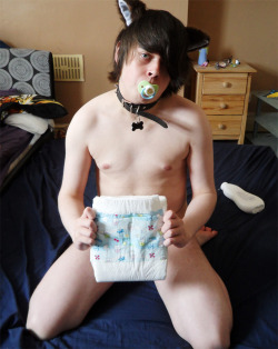 bigbrojj:  padded-puppy:  Pup’s first time in a Bambino n_n  Mattie pup looks sooo cute in bambino x x x 