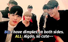 romeot7:poor hanse just wants to join the dimple squad