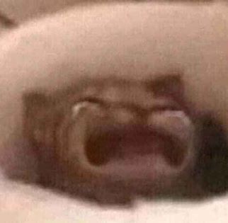 Having To Draw Anatomy: