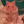 shyhandart:Been working on this for forever