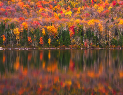 Autumn Reflections by Ania.Photography on Flickr.