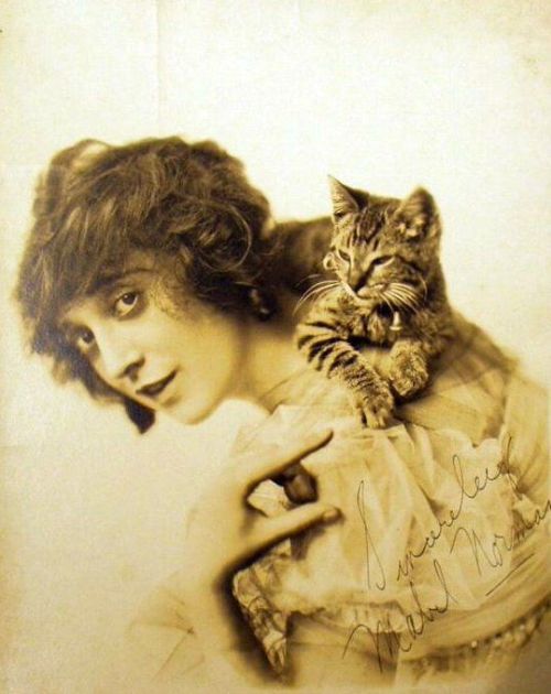 mabelnormandofficial: hedgerowbandit: Mabel Normand Mabel and the Keystone Kitten