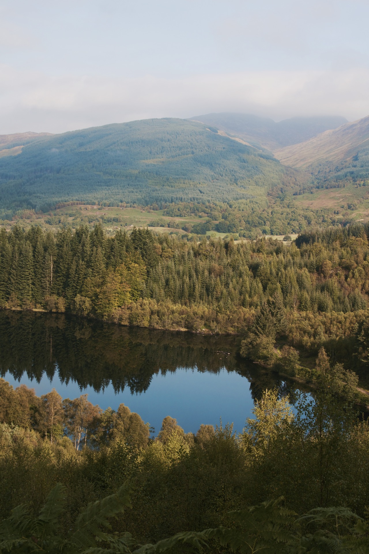 theencompassingworld:  kylebonallo:  Loch Ard forest, by Kyle Bonallo (instagram)