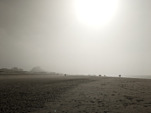 Foggy beach day