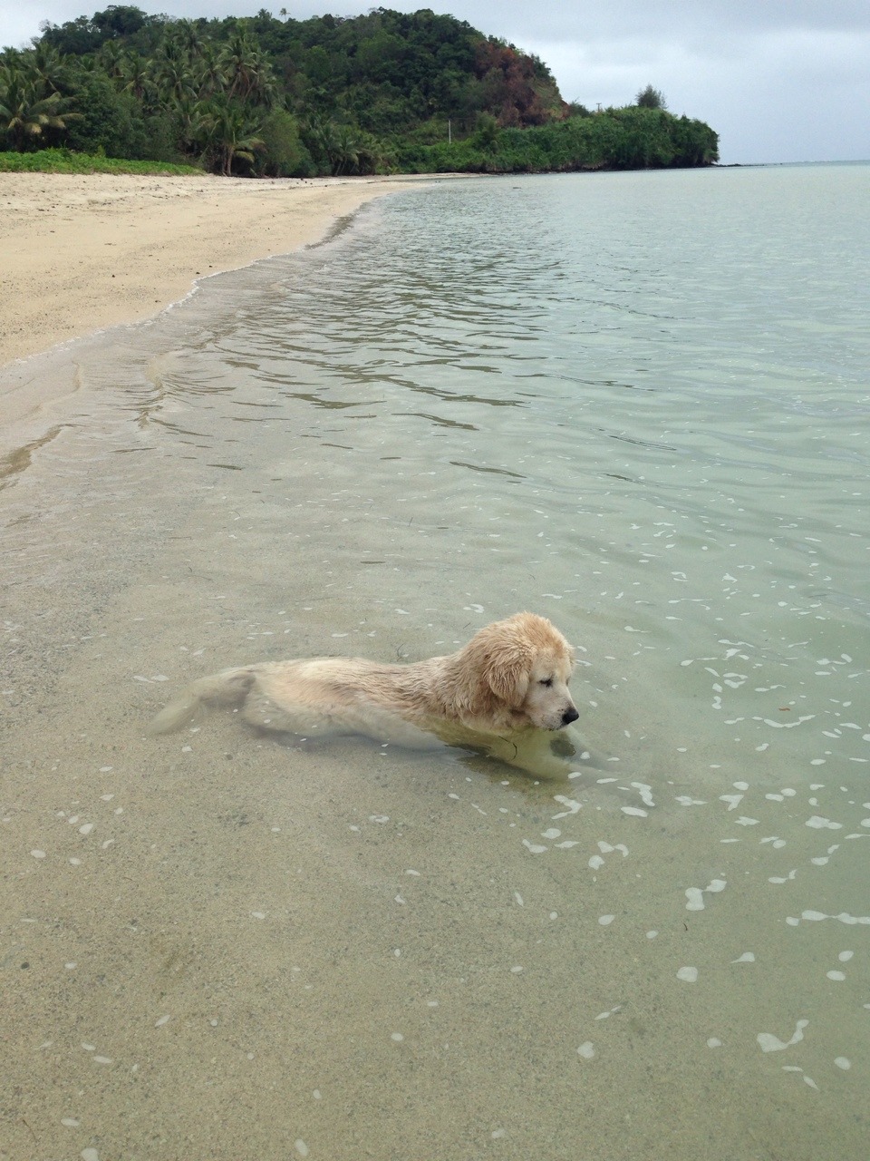 m-ooonn:
“ she sat in the water for like an hour, just staring at the water peacefully
”