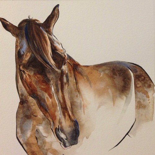An example of one of the awesome rewards that will be available through Equestrian Culture&rsquo
