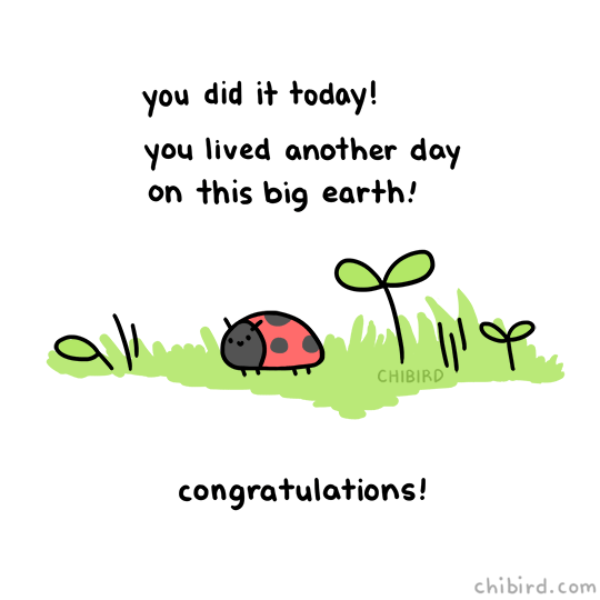 chibird: To a small bug, your day is a very big success!  Pre-order Loading Penguin Hugs! 
