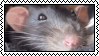 Assorted Web Stamps