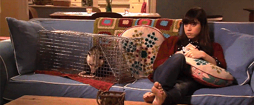 Welcome to Pawnee