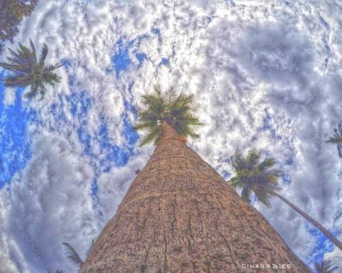 #gopro #skyporn (at Sri Lanka)