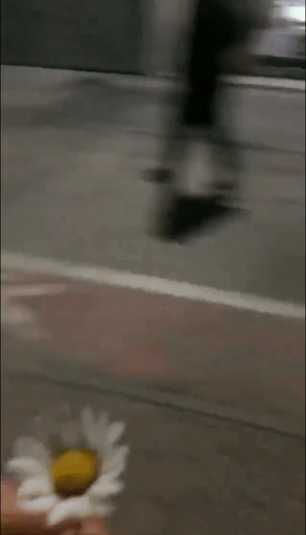 00f213d9c090ab06a87350338909a01faa8dc69c.gifv