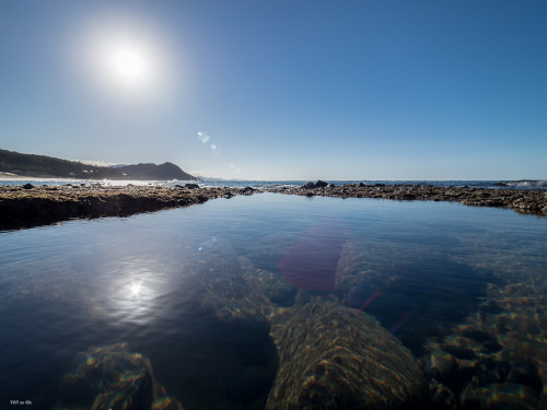 海とかウシとかねことか見たくなったので。ほんの少し、旅に出ました。暑かったです。I wanted to see the ocean, cows, and cats, so I went on a li