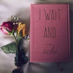 lovelustquotes:  “I wait and ache” -Sylvia