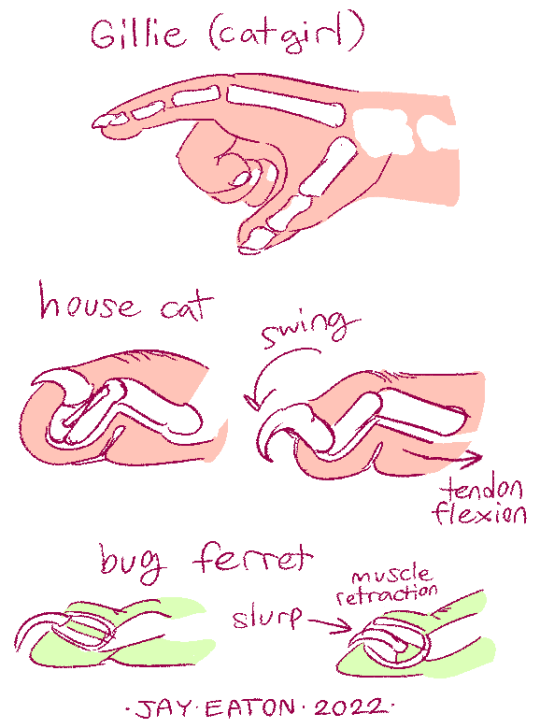 Jay Eaton / as a cat girl does Gillie have retractile claws