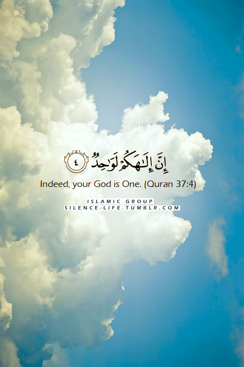 Your God is One (Quran 37:4 – Surat as-Saffat)“ إِنَّ إِلَهَكُمْ لَوَاحِدٌ
Indeed, your God is One. [Quran 37:4]
”
www.IslamicArtDB.com » Quranic Verses » Quranic Verses in English
Originally found on: zekrayaat