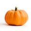 pumpkin-head-93