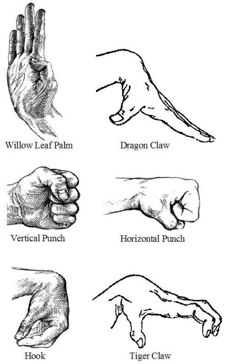 Porn Pics sifu-taichi-kungfu: Kung fu hands Follow