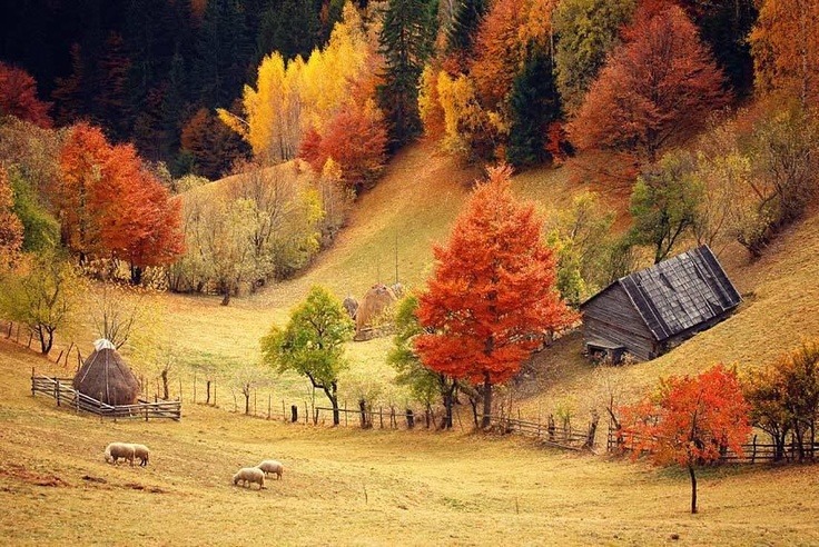 “Autumn seemed to arrive suddenly that year."