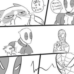 #deadpool #spiderman #grumpycat #marvel #marvelcomics