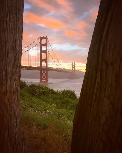 tobyharrimanphotography: Another shot from the other night. Just walking down a path looking for ang