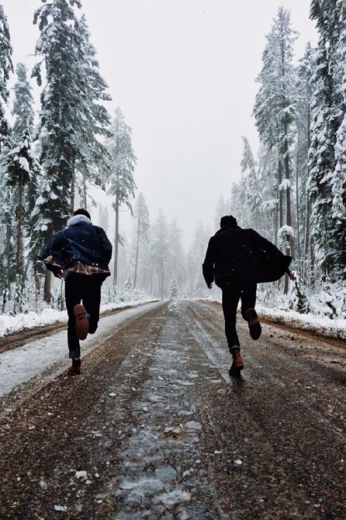 wolverxne:  Untitled | by: { Stephen Alkire } - Follow on Instagram 