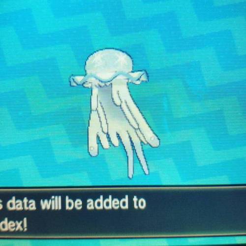 I TRADED A CATERPIE FOR THIS. I got one in the previous wonder trade and I tossed it back in&hellip;
