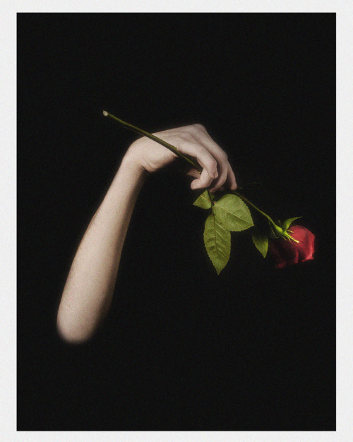 Untitled by areasmina