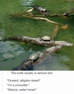 lmao…..   I FUCKING LOVE NATURE.